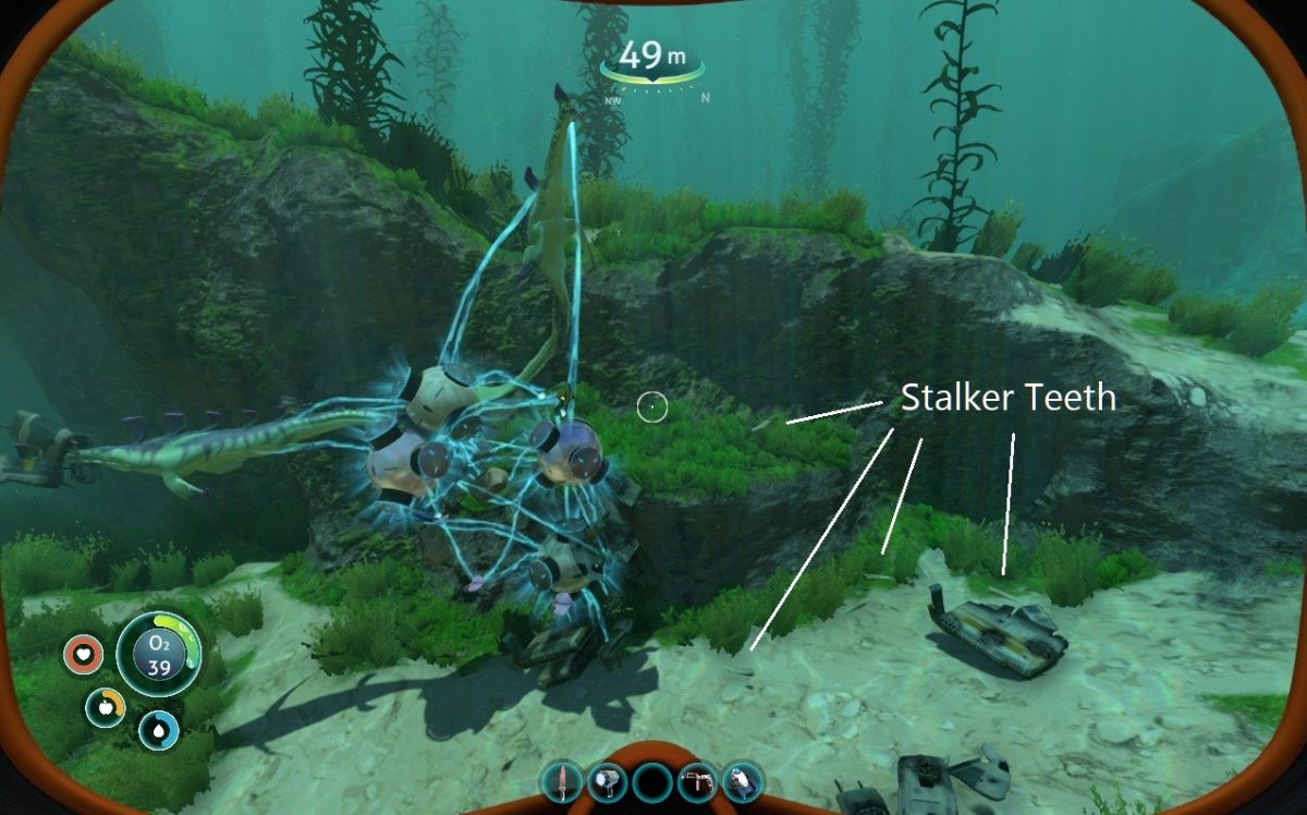 Subnautica stalker teeth